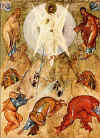 o159.jpg (74360 byte)